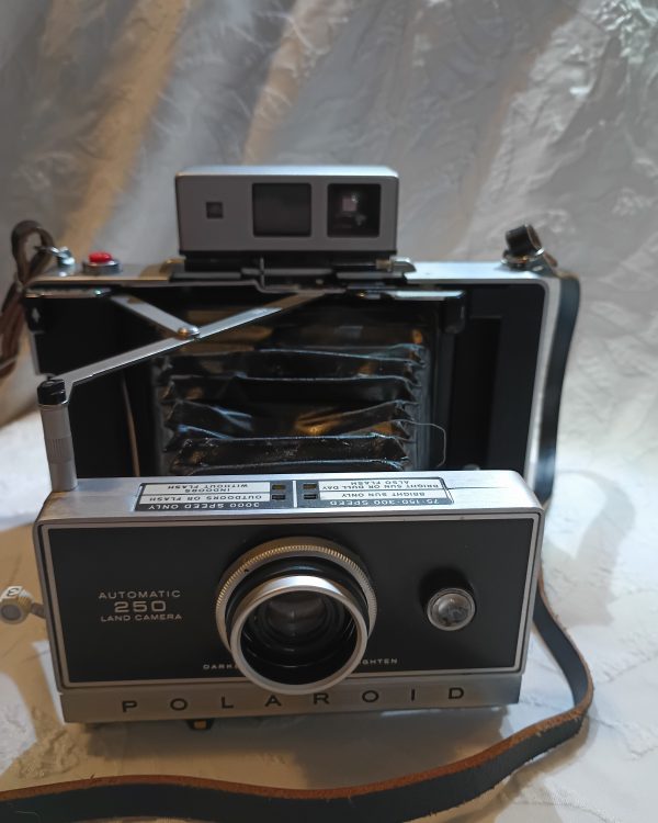 Vintage Camera Bank view 4