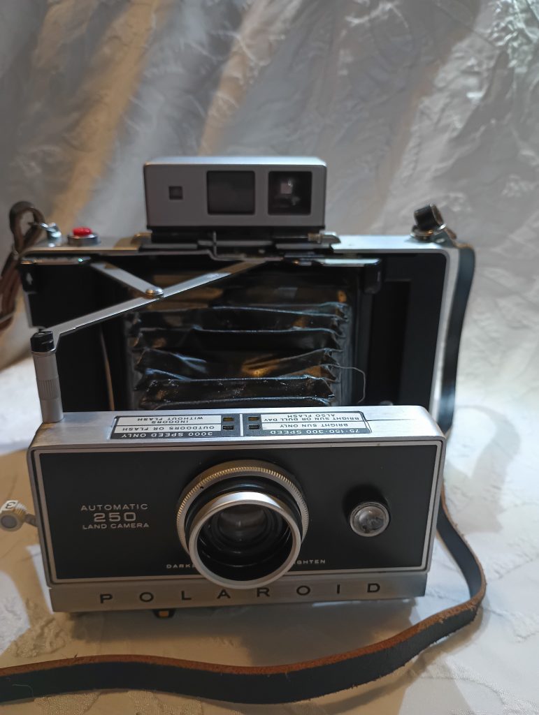 Vintage Camera Bank view 4